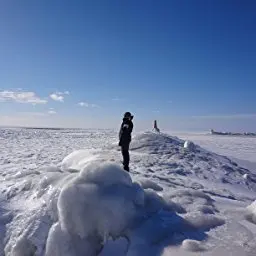 71QbrgTulkL._CR204,0,1224,1224_UX256