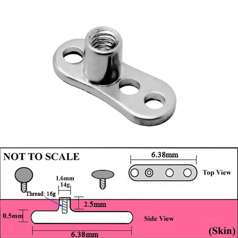 HTB1HCTSemWD3KVjSZSgq6ACxVXaF