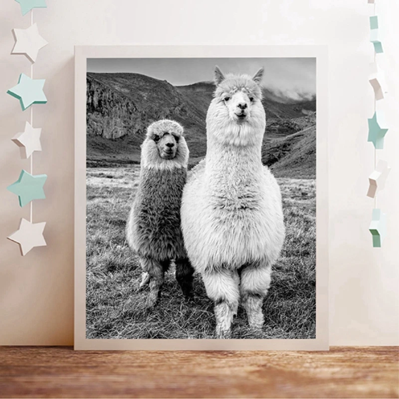 Alpaca Canvas Prints Nursery Decor