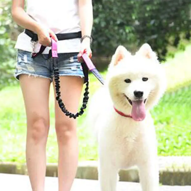 2021 Adjustable Reflective Leash Traction Rope Pet Dog Running Belt Elastic Hands Freely Jogging Pull Dog Collar D-ring Leashes