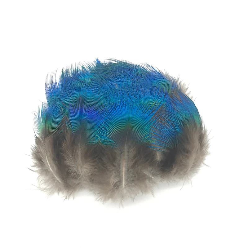 

Sale of 100 pcs peacock feathers DIY decorated with small blue feathers