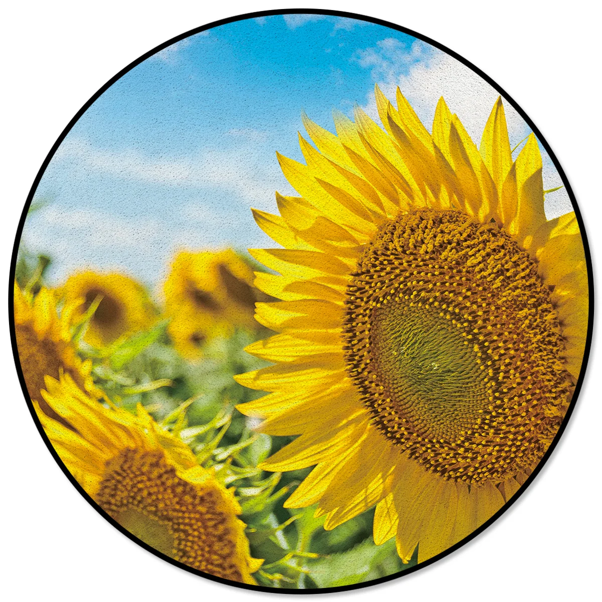 Летний круглый ковер с подсолнухом, кухонные коврики для ванной, кухни, для взрослых, тонкий мальчик, грязный мусор, грязевой ковёр, кухонный напольный коврик