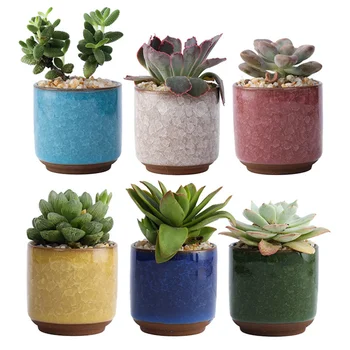 

6pcs Succulent Pot Decorative Mini Durable Coloured Basin Succulent Pot for Home
