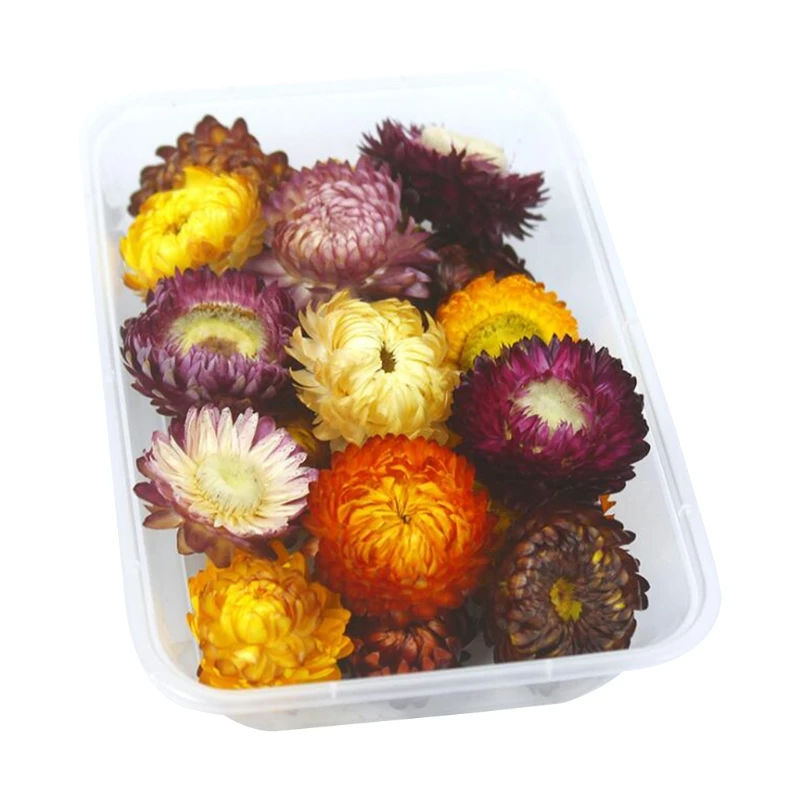

1Box Aromatherapy Floating Flowers Crystal Epoxy Filler Mixed Dried Flower Heads 83XF
