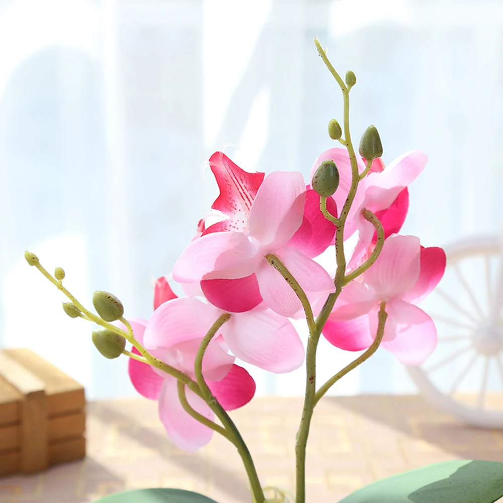 ZZLJ16218-ZZLJ16221-C7