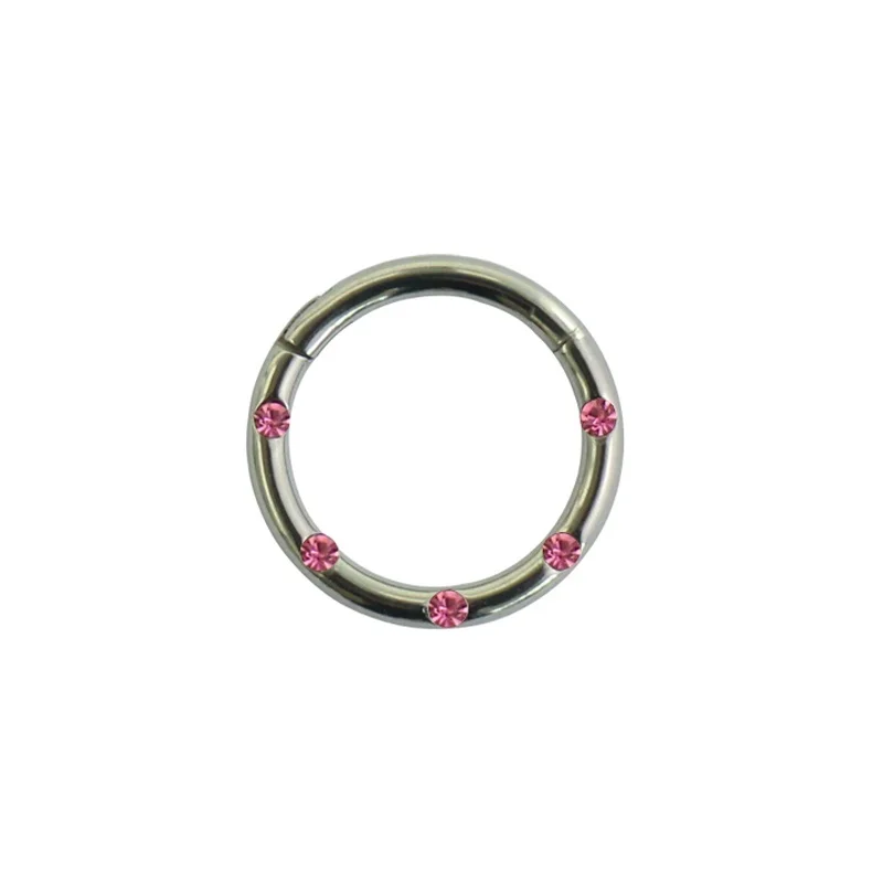 1-Rose 1 шт. G23 титановые сегментные шарнирные кольца перегородка пирсинг носа губы серьги 16 г изысканный пирсинг сосков ювелирные изделия для тела - Окраска металла: 1-Rose