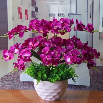 

Butterfly Orchid Floral Potted Plant Model Dried Flower Case Decoration Artificial Flower Silk Flower Living Room Table Settings