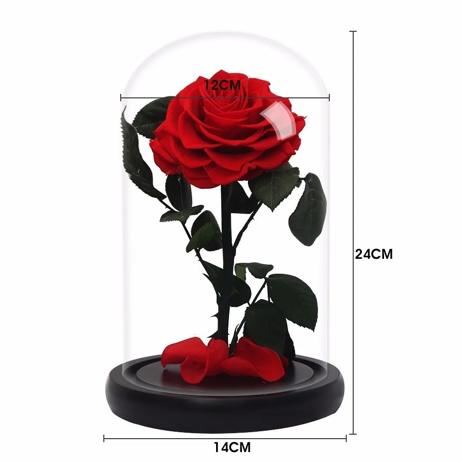 Red Eternal Life Immortal Flower Pink The Beauty And The Beast Rose Glass Dome Mother's Day Gift Valentine's Day Gift