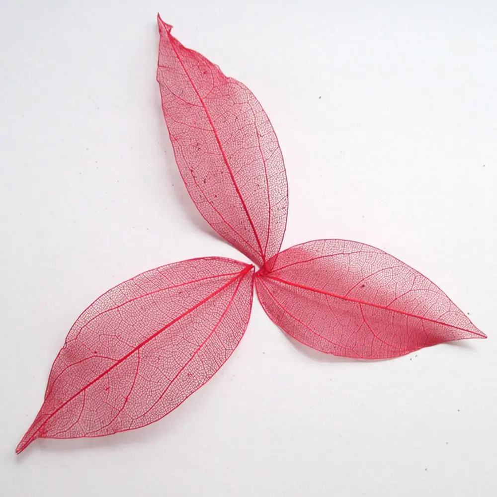 HTB1_9LCIpXXXXbdXFXXq6xXFXXXC