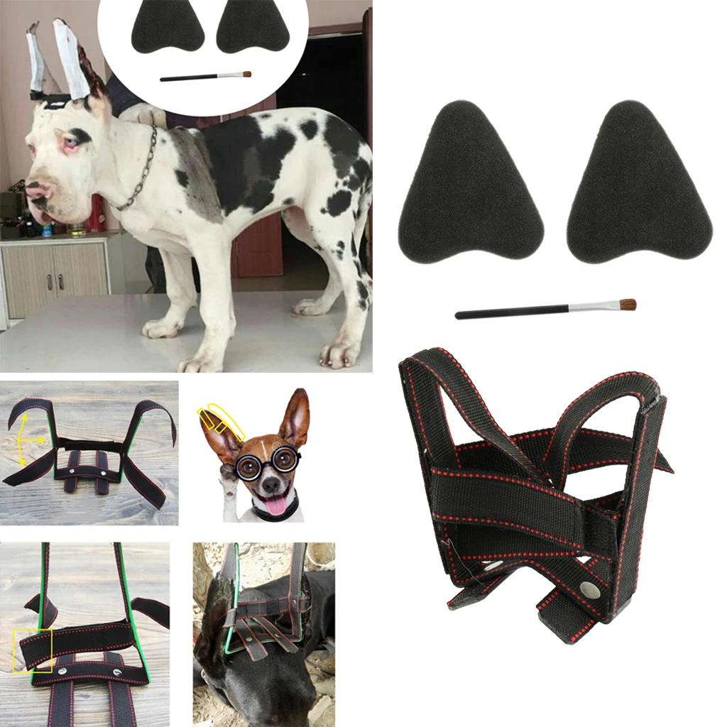 Dog Puppy Ear Care Standing Tool Suit For Samoyed, Great Dane Ear Correcting