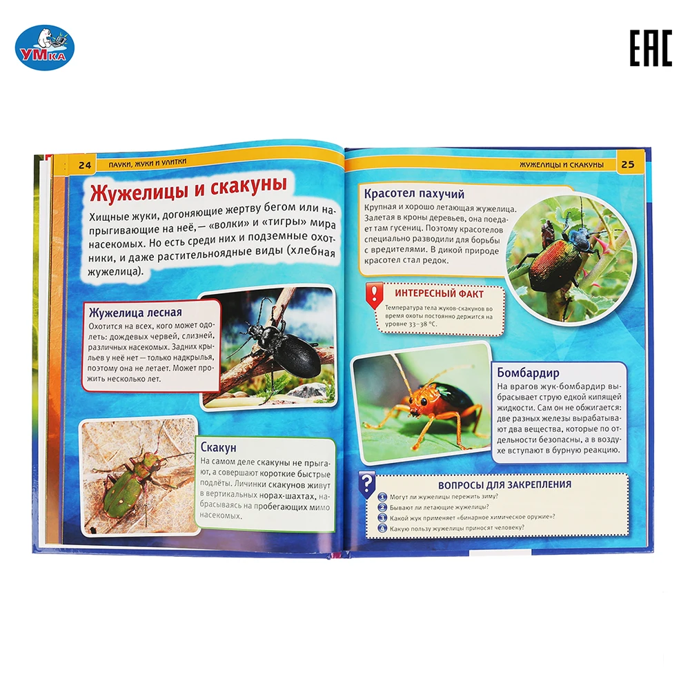 Энциклопедия Умка Пауки жуки улитки (с развивающими заданиями) твердый переплет