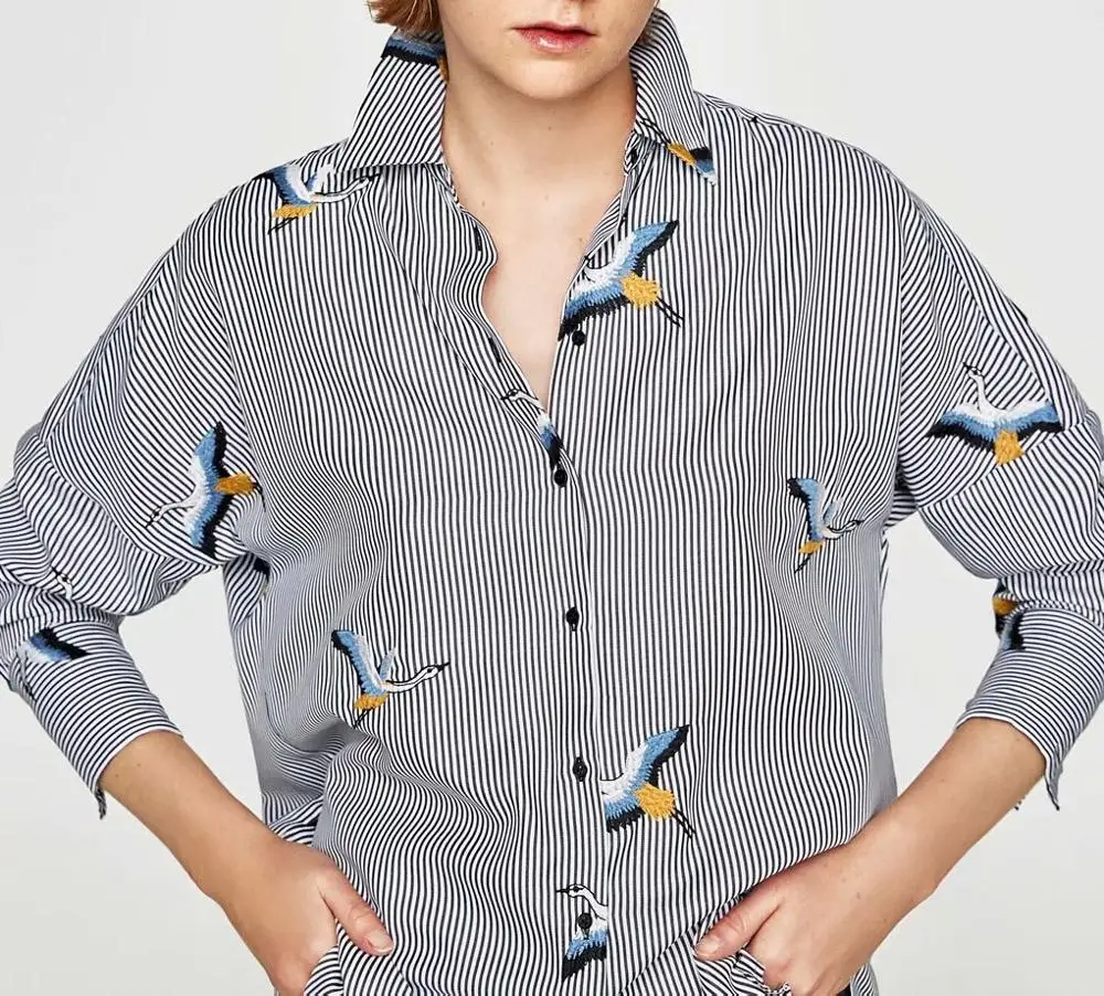 

Women's Autumn Blouse Stripe Red-crowned crane Embroider Irregular length