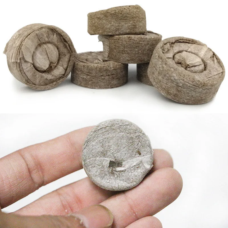 11740980980_1732935345