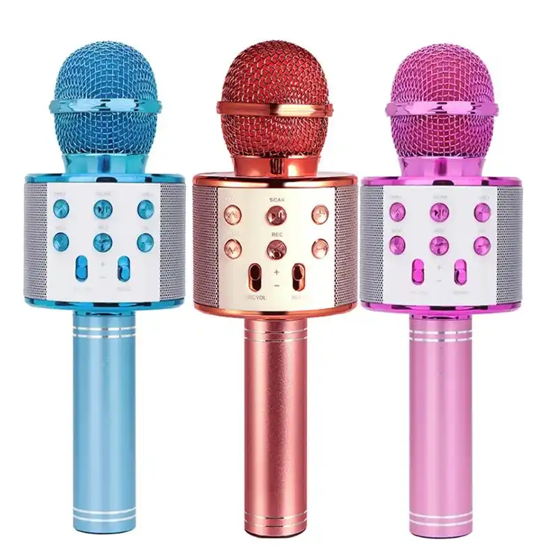 toy microphone with speaker