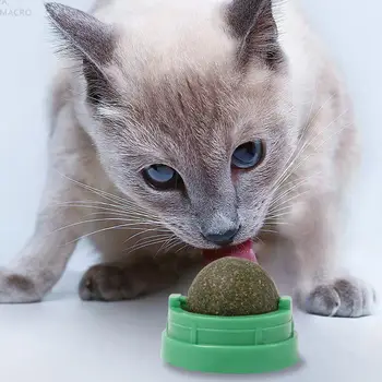 

1Pc Catnip Ball Nutrition Cat Sugar Toys Help Digestion Puzzle Pet Teeth Ball Mint Leaf Cat Catnip Cleaning Catnip Ball Rot O6C4