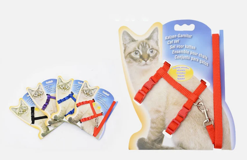 3817570659_1624998023