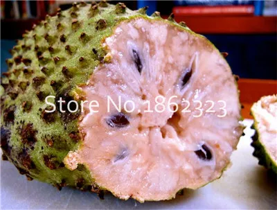 20 шт. Soursop бонсай фрукты, Graviola Annona муриката сладкий СОП вкусные фрукты бонсай сахар яблоко Annona дерево растение в бонсай - Цвет: 9