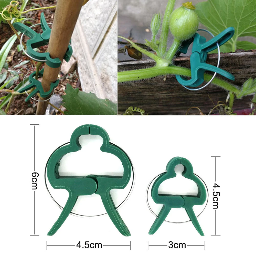 10-100pcs Reusable Green Garden Plant Fixed Clips for Greenhous Vegetables Flowers Stem Vines Grape Clamp Support Fastener