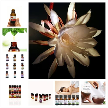 

Original Coconut Essential Oil 10ml Anthurium Healthy Oil for Aromatherapy Hair Skin Care /Makeup Remover/Body Message VWXX511