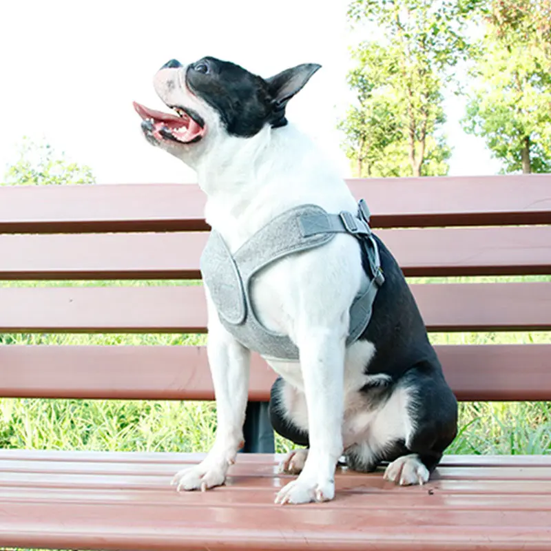 HOT Dogs Chest Strap Reflectors Chains Strings Dog Collars Dog friendly