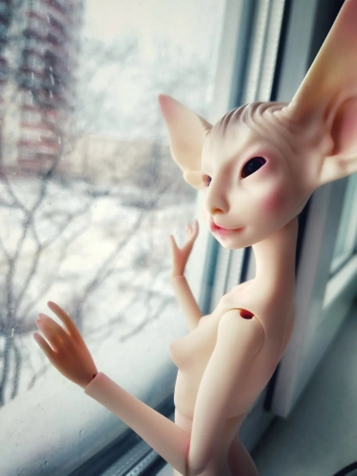 Куклы Luodoll мягкие игрушечные лошади в виде кремового кота | Игрушки и хобби