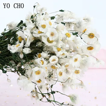 

YO CHO Dried daisy flowers Helichrysum flower living room furnishing decoration with immortal daisy flower handmade DIY material