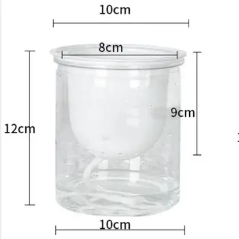 

2PCS Clear Self Watering Pot Planter For Indoor And Outdoor Plants Flowers Herbs Automatic Water Absorption Transparent Round