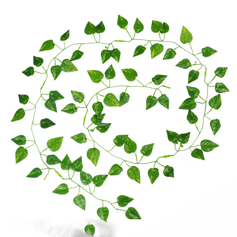 4269973089_1023033891