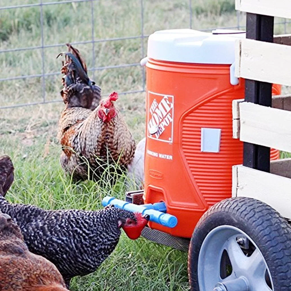 

5PCS/Set Automatic Chicken Waterer Cups Bird Fowl Drinker Bowl Feed Poultry Water Drinking Cup Feeding Tool New