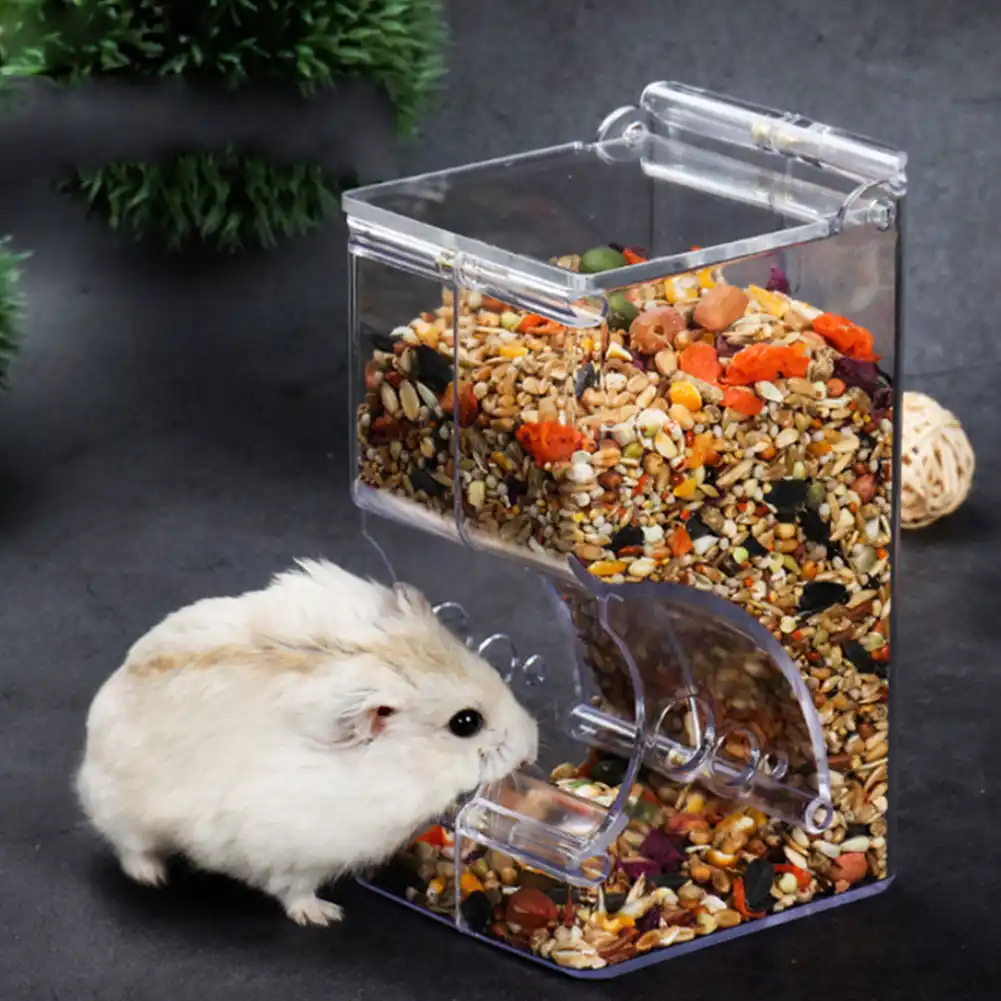 diy automatic hamster feeder