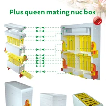 Beekeeping-Tool Bee-Hive Multi-Functional Queen Plastic Benefitbee Foam-Material Double-Box