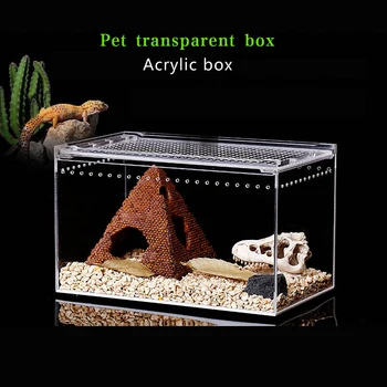 

Acrylic Box Reptile Feeding Box Horned Frog Spider Scorpion Lizard Single Horned Fairy Mantis Cricket Climbing Pet Box