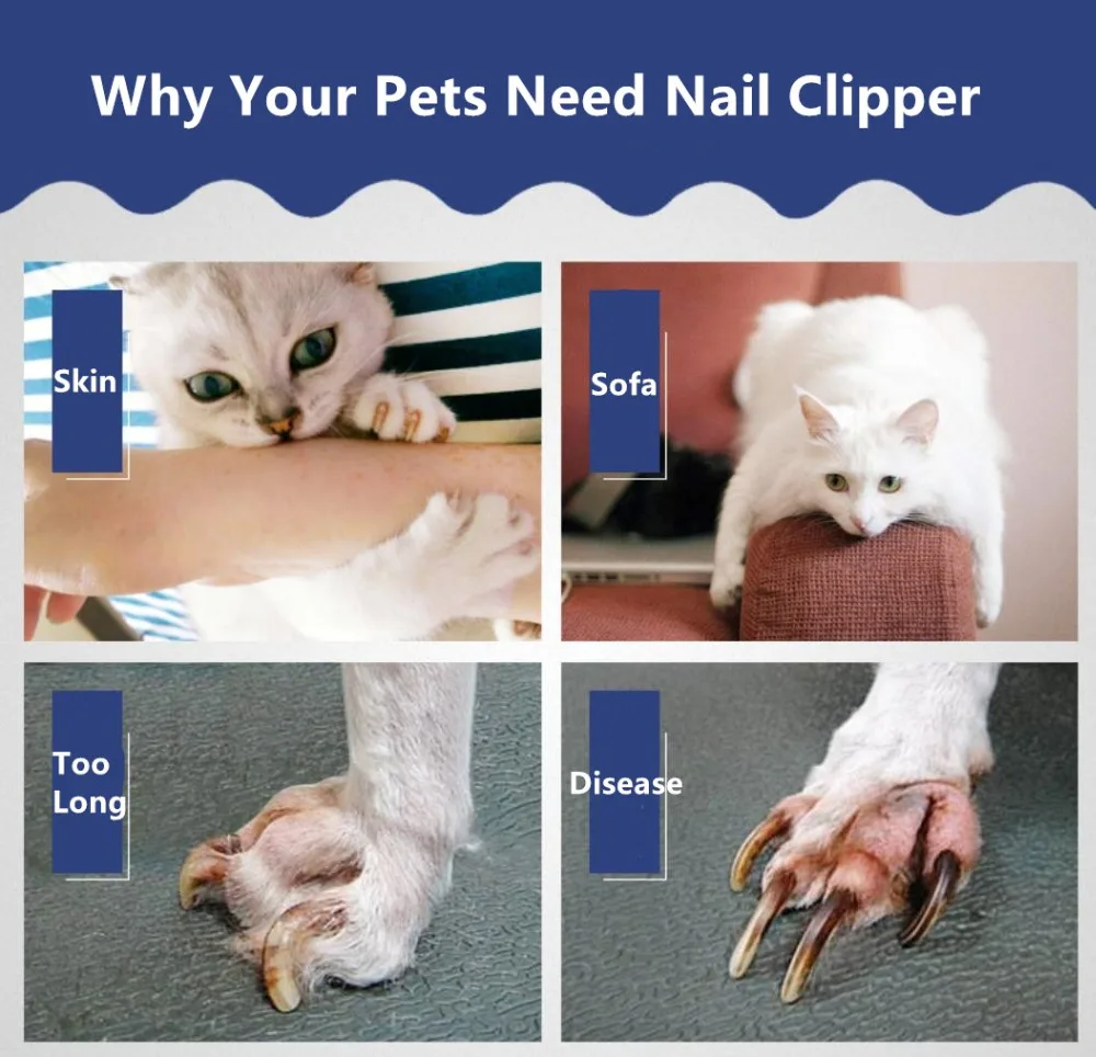 3. 细节&详情 (4)