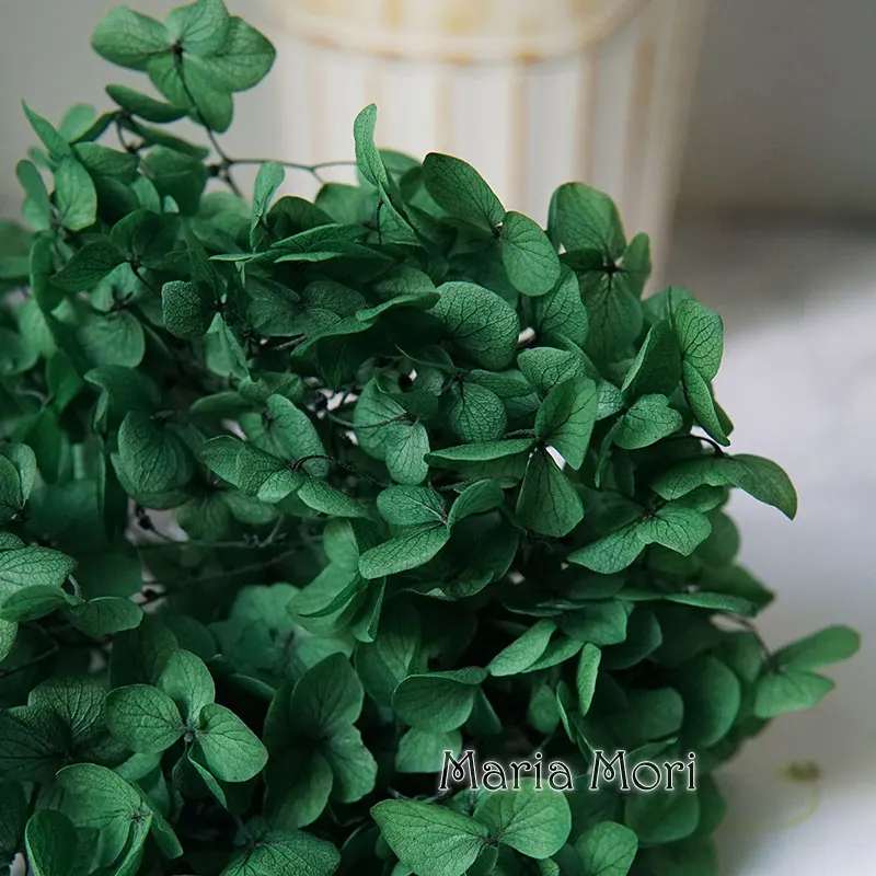 Anna Hydrangea  Flowers  Little  Leaves Preserved Hydrangea Decor  Office Decor  DIY Flowers