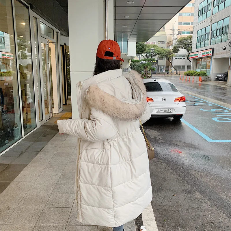 

Main Push Photo Shoot 2019 New Style Best Friend Korean-style Hooded Large Fur Collar INS down Jacket Medium-length Cotton Coat