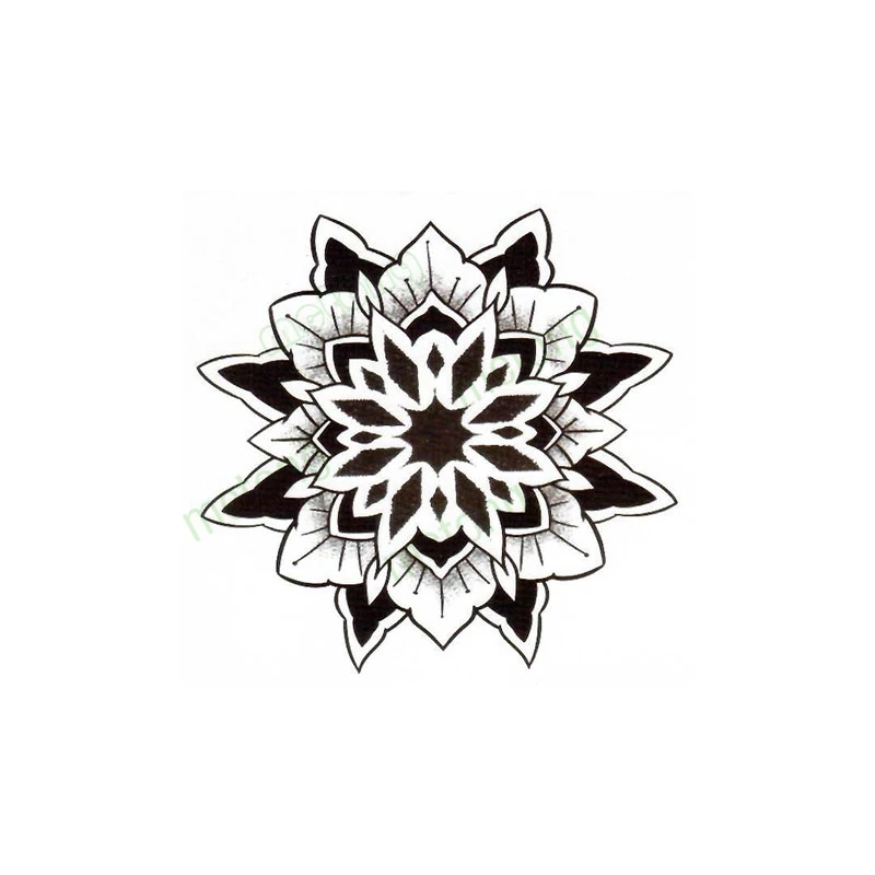 029