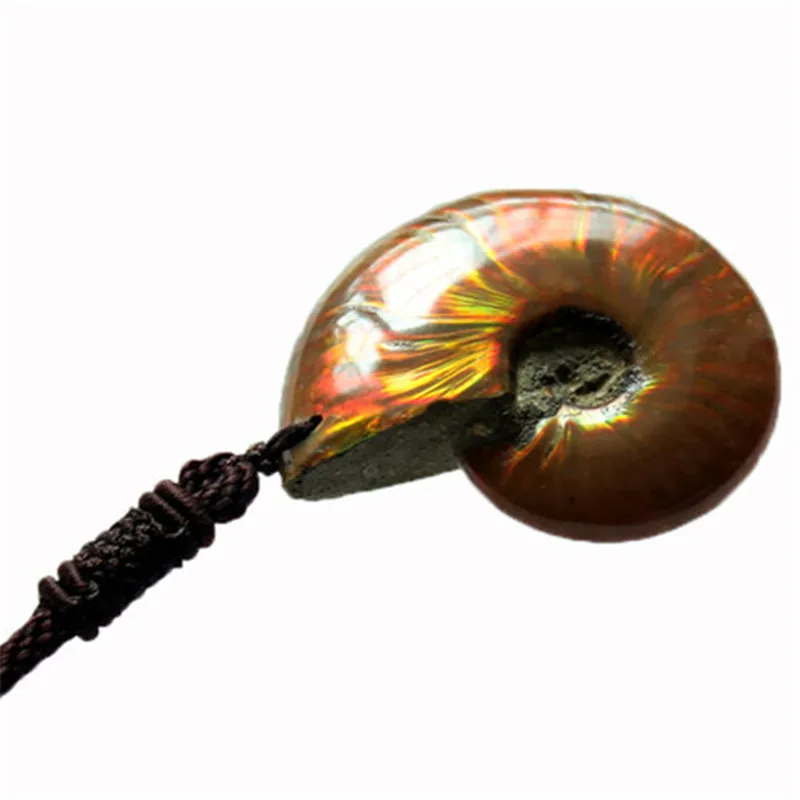 Real Natural Stone Ammonite Pendant Marine Fossil Minerals and specimens Free Necklace Fengshui Reiki Healing Energy Men Gift