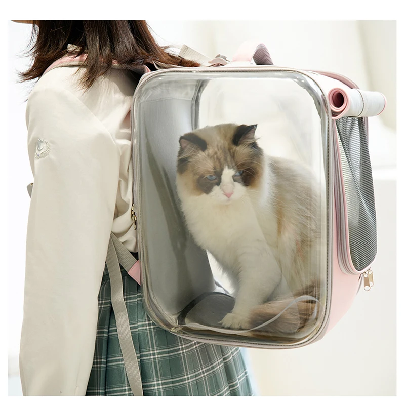 airline approved cat bag carrier