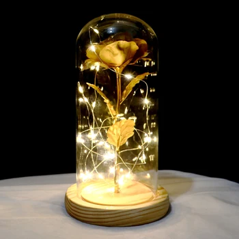 

Beauty and the beast in the glass dome with LED lights, eternal roses, Christmas gifts, Valentine's day gifts, home decoration