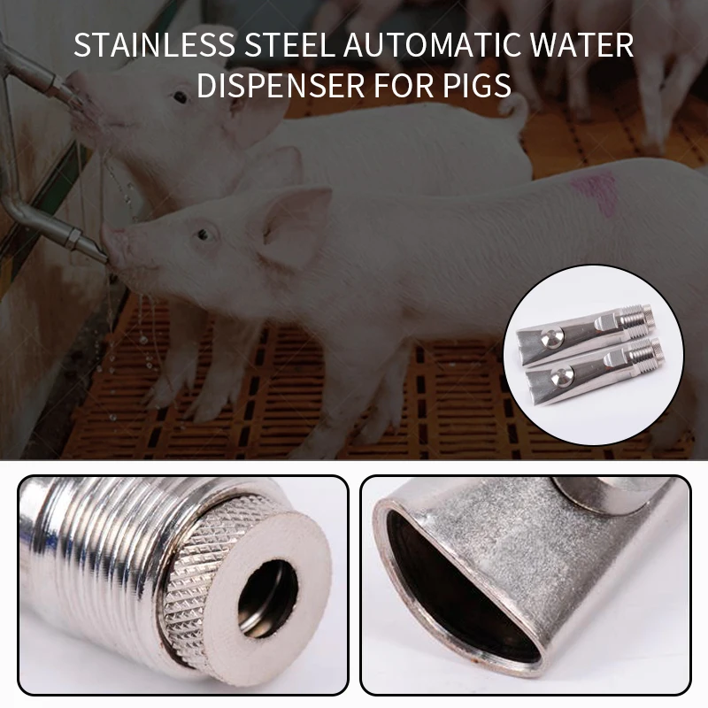Animal Drinking Fountain Automatic Waterer Farm Equipment Stainless