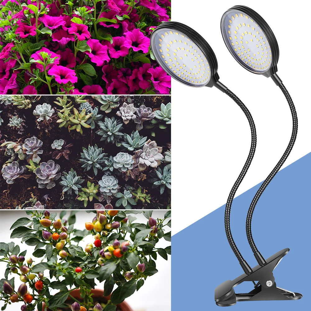 Grow Solar Lights  Solar Powered LED Indoor Grow Lights