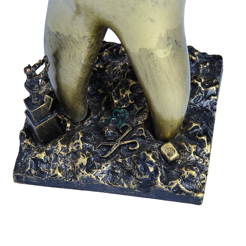 1 шт. подарок для дантиста изделия из смолы Игрушки Зубные зубы ремесленные стоматологическая клиника украшения предметы интерьера креативная скульптура