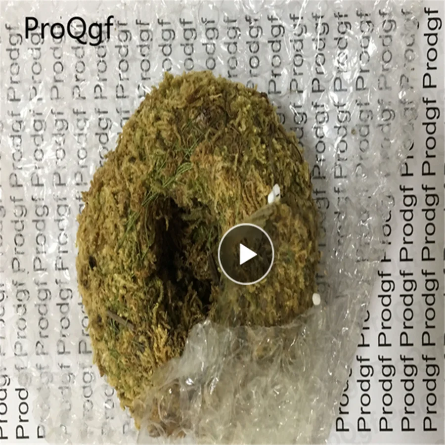 ProQgf 3 шт набор 7*15 см зеленый