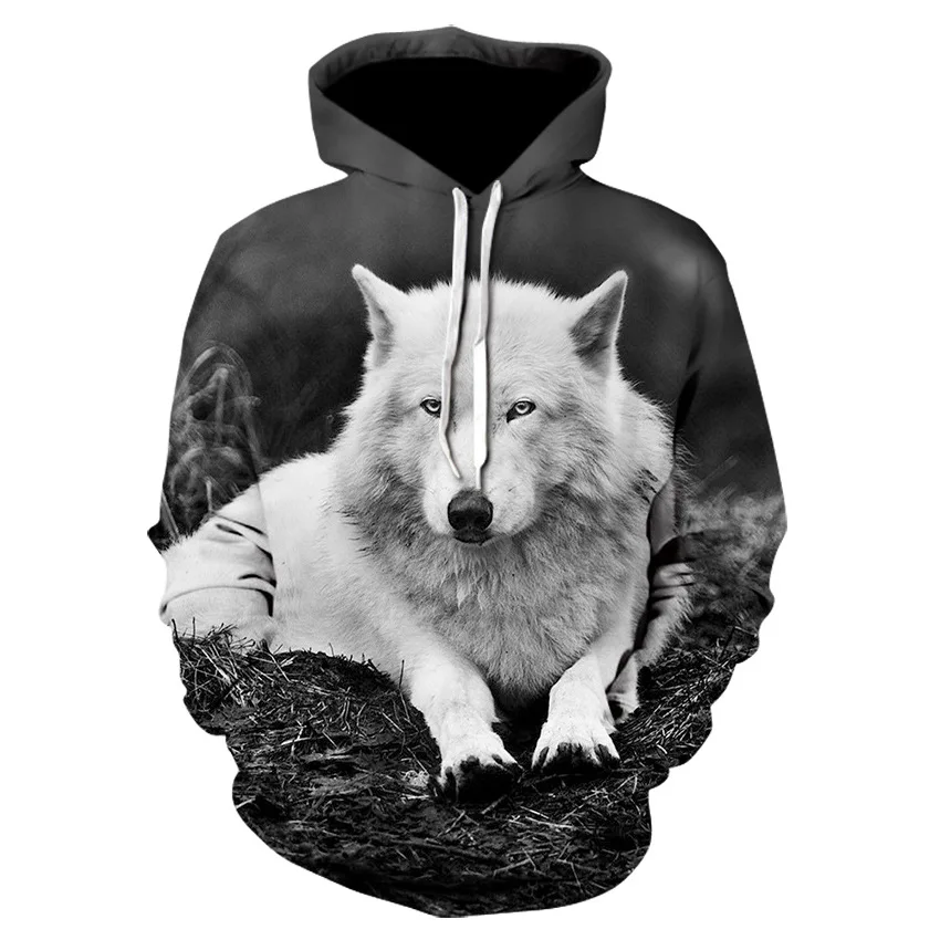 11864901799_795023104