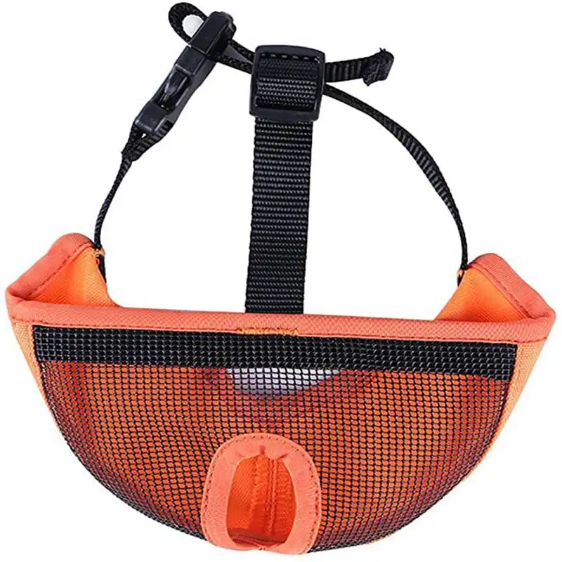 71Y3z--AlpL._AC_SX679_