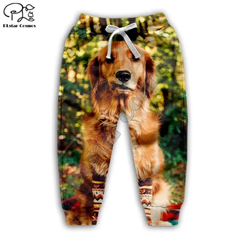 Kid cute dogs 3D Golden Retriever print hoodie child baby boy girl clothing autumn Sweatshirt zipper jacket Pant