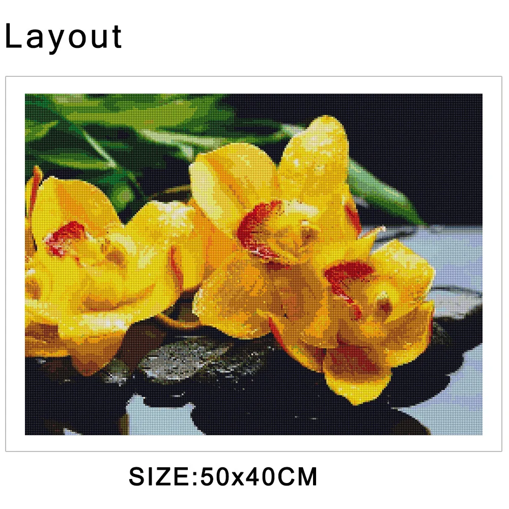 17 (5).jpg_.webp 17 (5).jpg_.webp