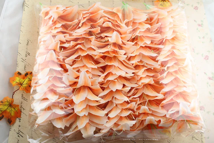 2705782049_1771322019