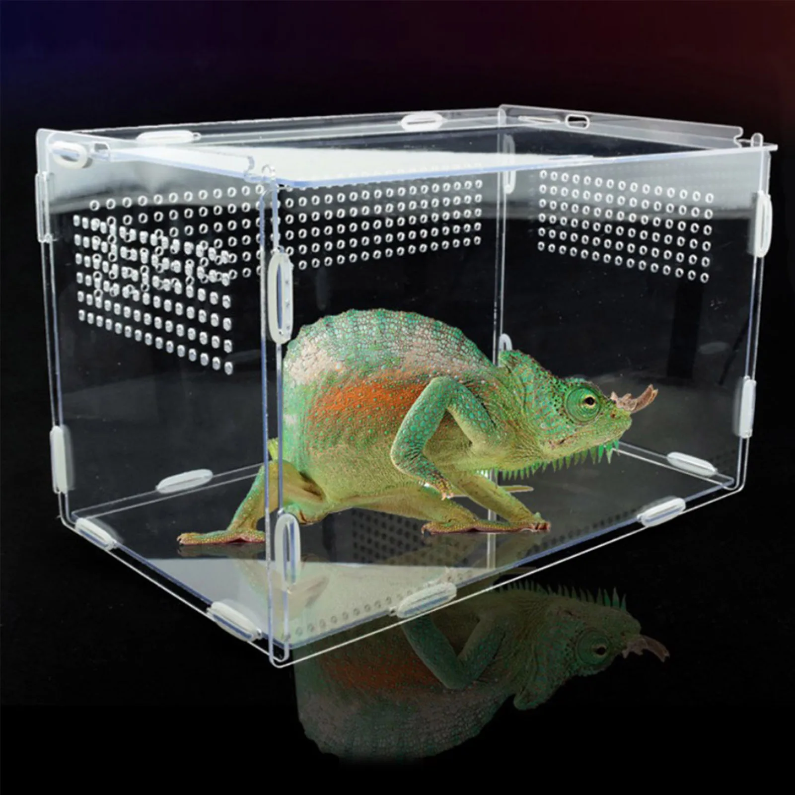 Crianza de reptiles transparente de la caja de acrílico tanque para reptiles Terrario de insectos, arañas Rana lagarto Cricket tortuga de caja