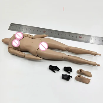 

1/6 Scale 12''Umir Women Body with Hands and Feet Types for Women Female Head Toys Gifts Collections